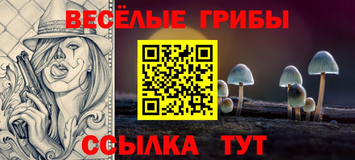 Псилоцибиновые грибы Psilocybine cubensis  Вход с VPN  наркотики  Красный Сулин 
